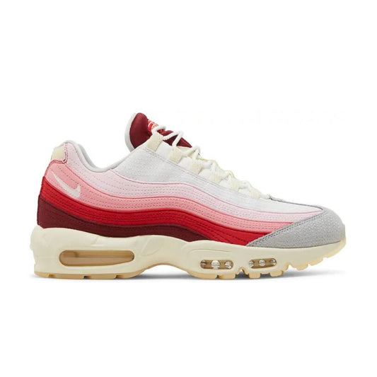 Air Max 95 'Anatomy Of Air'